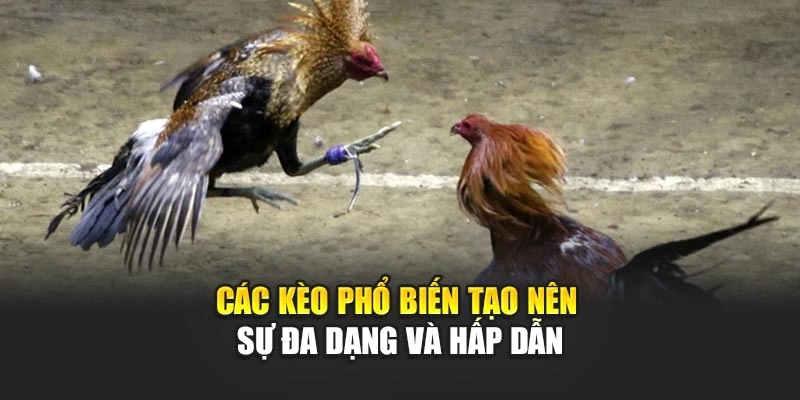 cac-keo-pho-bien-tao-nen-su-da-dang-va-hap-dan