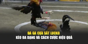 da-ga-cua-sat-luck8-keo-da-dang-va-cach-cuoc-hieu-qua
