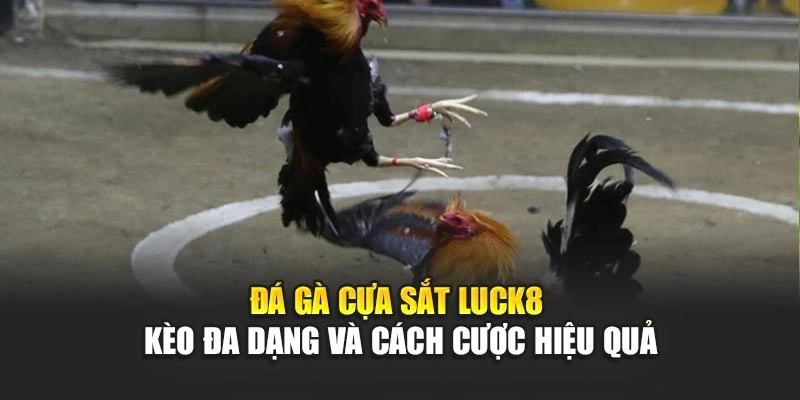 da-ga-cua-sat-luck8-keo-da-dang-va-cach-cuoc-hieu-qua