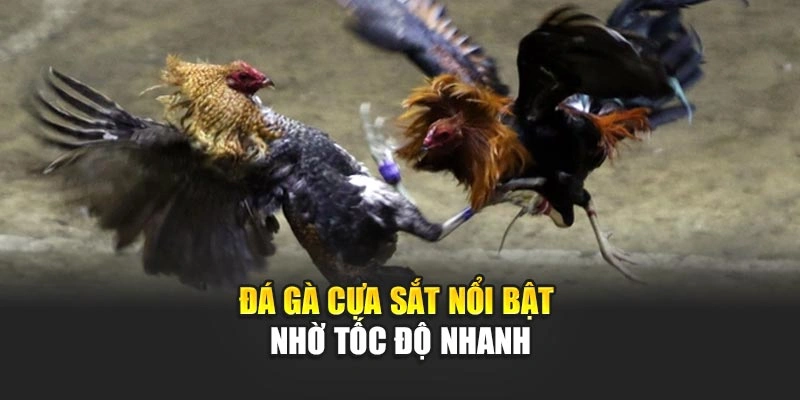 da-ga-cua-sat-noi-bat-nho-toc-do-nhanh