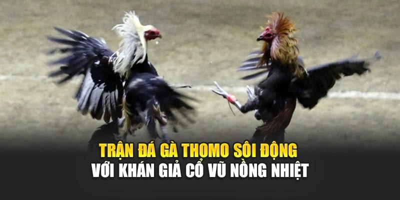 tran-da-ga-thomo-soi-dong-voi-khan-gia-co-vu-nong-nhiet