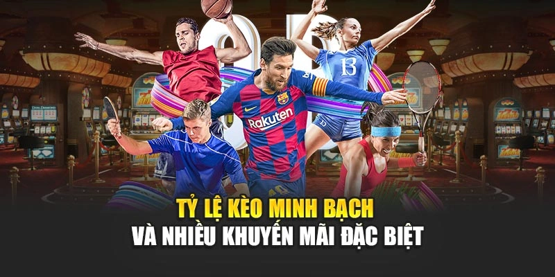 ty-le-keo-minh-bach-va-nhieu-khuyen-mai-dac-biet